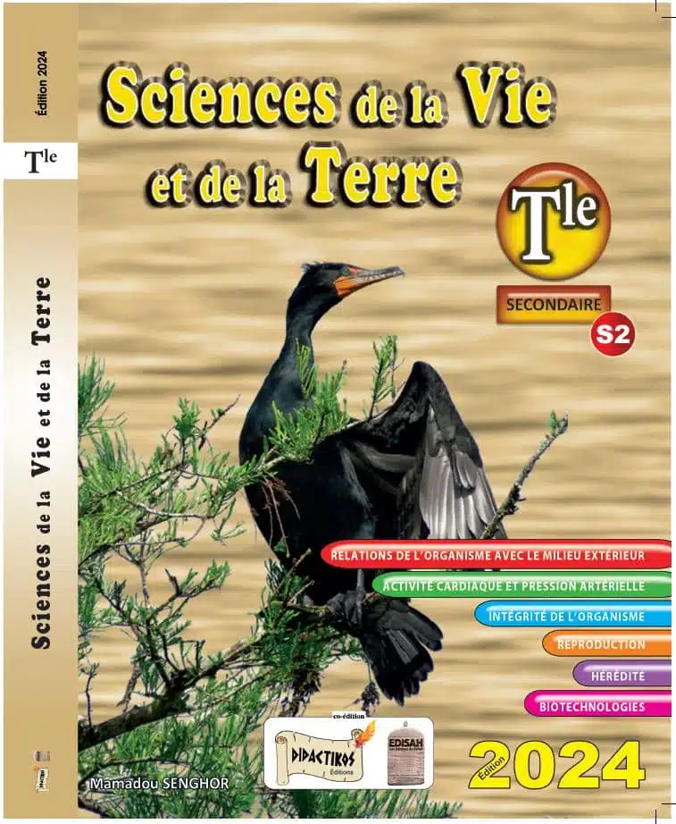 Svt-Tle