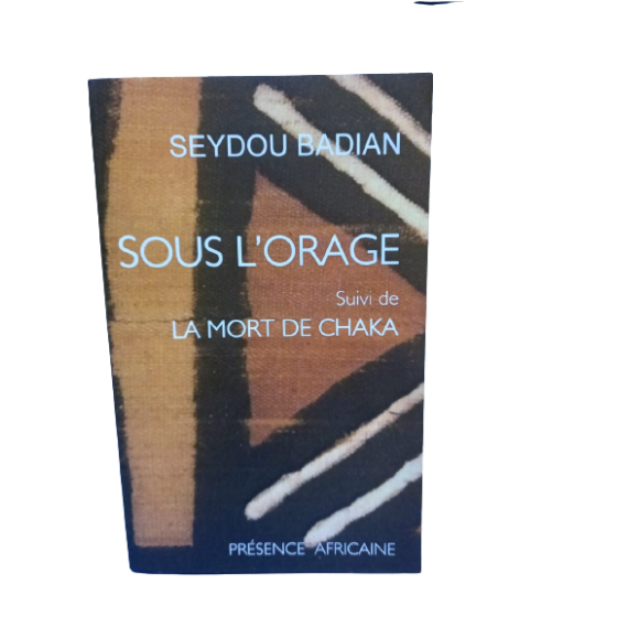 Sous l'Orage - Seydou Badian
