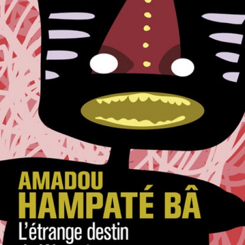  L’ETRANGE DESTIN DE WANGRIN