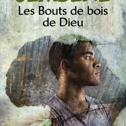  LES BOUTS DE BOIS DE DIEU