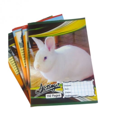 cahier de 200 Pages - petit format 4 000 FCFA