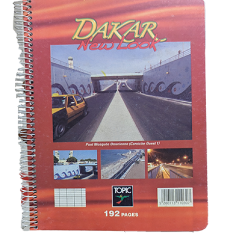  CAHIER  96 PAGES PIQUE 5X5 21 X 29,7 – TOPIC 