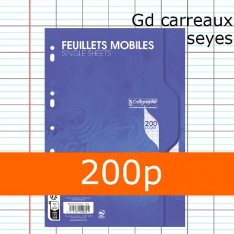  200 pages Feuilles simples CALLIGRAPHE A4 perforées Seyès 70g 
