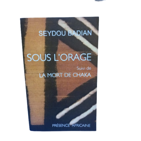 Sous l'Orage - Seydou Badian